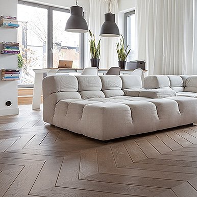 Jodła Francuska Oraz Węgierska