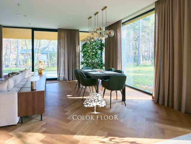 Jodła Klasyczna Dąb Edynburd kl. Standard