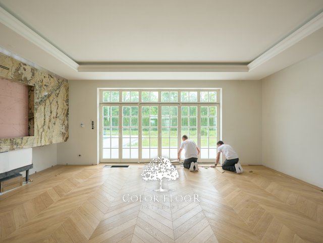 Jodła Francuska Dąb Polar kl. Standard + Bordiura